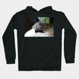 Cute Wombat Hoodie